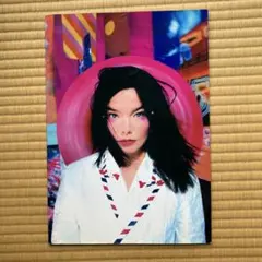 Bjork ビョーク 1996年 ジャパンツアー パンフレット - メルカリ