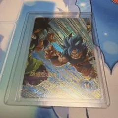 sdv8-035 パラレル 孫悟空br gdr - メルカリ