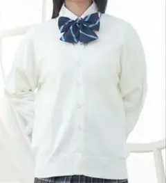 Item thumbnail for item b0a898dd-a6be-44f6-bf03-42badf58bff7