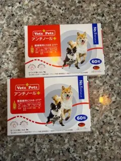 アンチノールプラス60粒 二箱 - メルカリ
