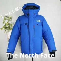 【程度極上・希少】ノースフェイス US版 ヒマラヤンパーカー 肉厚 Mサイズ 青