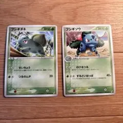 フォレトス」他1枚 ポケモンカード neo2弾【遺跡をこえて