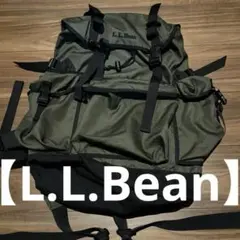 Item thumbnail for item 84544678-c0c2-4beb-9143-8e71bfab6925