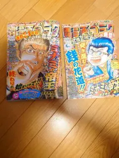 （最新）週刊漫画ゴラク