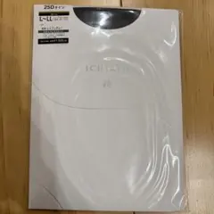 GUNZE ICHIRYO 25デニールタイツ L-LL レイブングレー