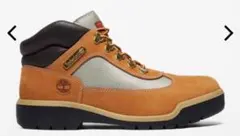 Item thumbnail for item d095aab1-298f-484c-9cef-04292788b633