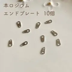 本ロジウム エンドプレート 10個