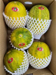 産地直送！甘いパパイヤメロン❗️肉厚で甘くて美味しい❗️6玉入箱込5キロ！2ケース 産地直送！大玉パパイヤメロン❗️肉厚で甘くて美味しい❗️5玉入り