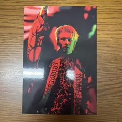 長谷川慎 ポストカード PRIMAL SPIDER