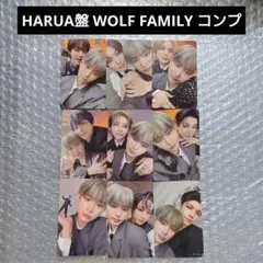 &TEAM Go in Blind 月狼 トレカ HARUA ソロ盤 コンプ