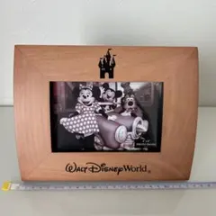 Walt Disney World フォトフレーム