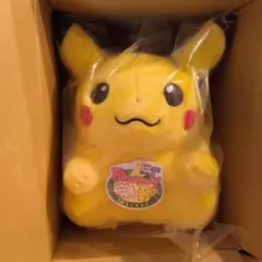 おかえりピカチュウ