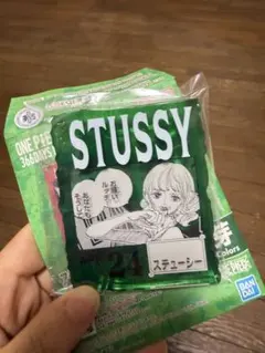 STUSSY アクリルキーホルダー 緑色のサムネイル