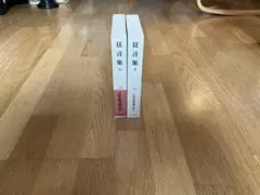 唐十郎 吸血鬼 帯函 初版第一刷 四谷シモン 書き込み無し本文美 - メルカリ
