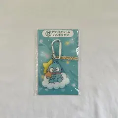 2025年サンリオキャラクター大賞当りくじ ハンギョドン 未開封