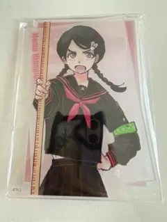 R指定 チェキファイル v系 - メルカリ