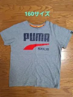 PUMA グレー Tシャツ 160