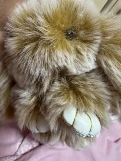 モンスイユ ロップイヤー ウサギ モニカ Sサイズ ぬいぐるみ 中古品