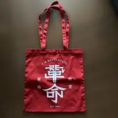 T.M.Revolution VOTE30 バッグ