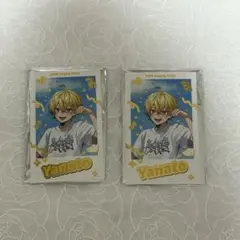STPR すにすて SneakerStep やなとくん ステッカー13点セット - メルカリ