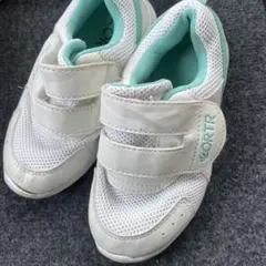 Item thumbnail for item 60ea6aa1-8463-4956-953d-0ede70e34c37