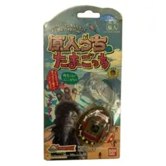 Item thumbnail for item 1b4d14d6-3e5a-456d-9704-316e1aa8055e