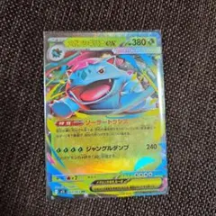 メガフシギバナexRR