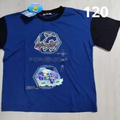 新品　120cm　ポケモンTシャツ　黒いレックウザ　テラパゴス