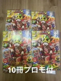 ワンピース 初期 缶バッジ 非売品 コミック10巻当選品 - メルカリ