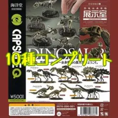 【新品10種コンプ】恐竜発掘記6　恐竜全身骨格展示室