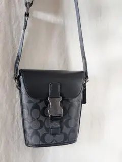 ★値下げしました★COACH コーチ ショルダーバッグ C3134 QBCHR
