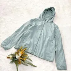 Item thumbnail for item 33d4c41f-dcc0-447c-8ff1-c0d83f2ca9f9