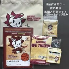川崎ブレイブサンダース ギフト　7点セット