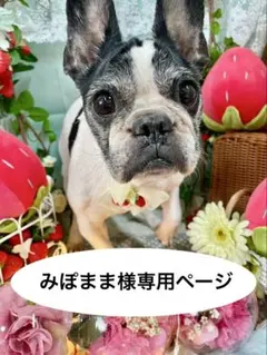 みぽまま様 リクエスト 2点 まとめ商品