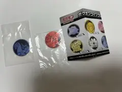ポケモンコインコレクション 第3弾　 2枚セット セグレイブ、ヨクバリス　各1