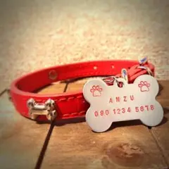 Item thumbnail for item a304ca45-ceb4-469e-90e3-a2fc6c11c663