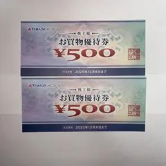 ヤマダ電機　株主優待券 500円 ２枚