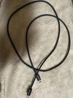 USB-C to Lightning ケーブル