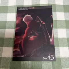 TYPE-MOON Fate/stay night インフォメーションカード43