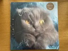 2026年最新】猫戦 レコードの人気アイテム - メルカリ