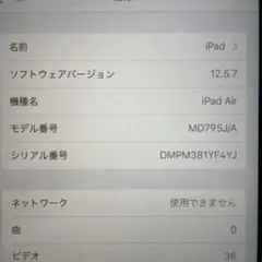 Apple iPad シルバー 本体