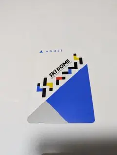 スキードームザウスチケット使用済