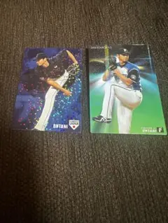 非売品】日本ハムファイターズ トランプ 大谷翔平選手収録 Ezolution
