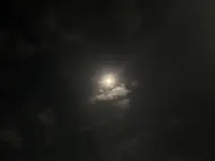 専用ページ