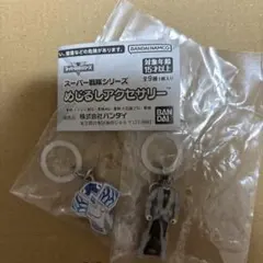 スーパー戦隊シリーズ　めじるしアクセサリー