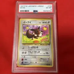 PSA6 イーブイ　旧裏　ポケモンジャングル