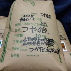 玄米 23kg R7年 宮城県産 つや姫① ゲリラ出品 玄米 23kg R7年 宮城県産 つや姫① ゲリラ出品 - メルカリ