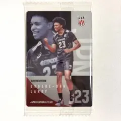 バレーボール男子日本代表ツインウエハース2026 エバデダン・ラリー