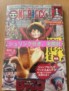 ONE PIECE magazine ワンピースマガジン Vol.20 20号