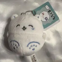 サンエックス まめゴマ てのり クリオネのあかちゃん 水族館